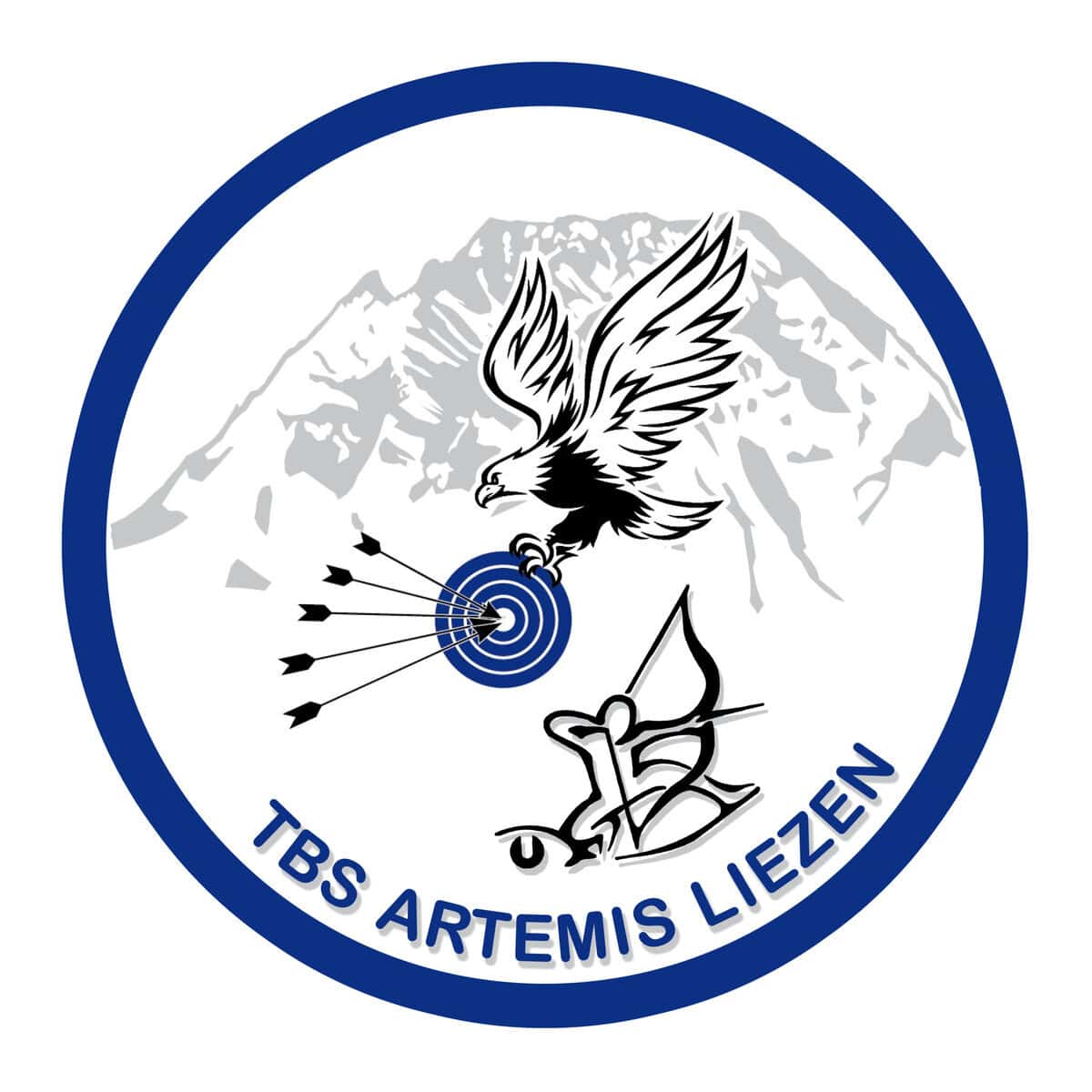 APC Partner Logo TBS Artemis Liezen